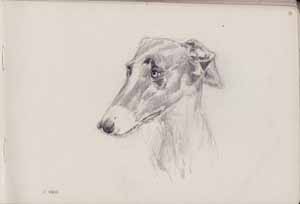 Vincent Roussillat Dessinateur