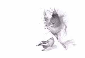 Vincent Roussillat Dessinateur