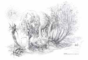 Vincent Roussillat Dessinateur