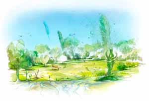 Vincent Roussillat Dessinateur