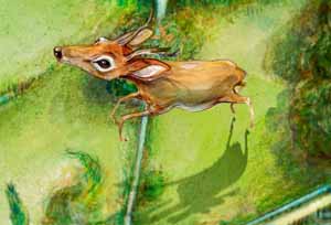 Vincent Roussillat Dessinateur