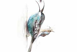 Vincent Roussillat Dessinateur