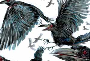Vincent Roussillat Dessinateur